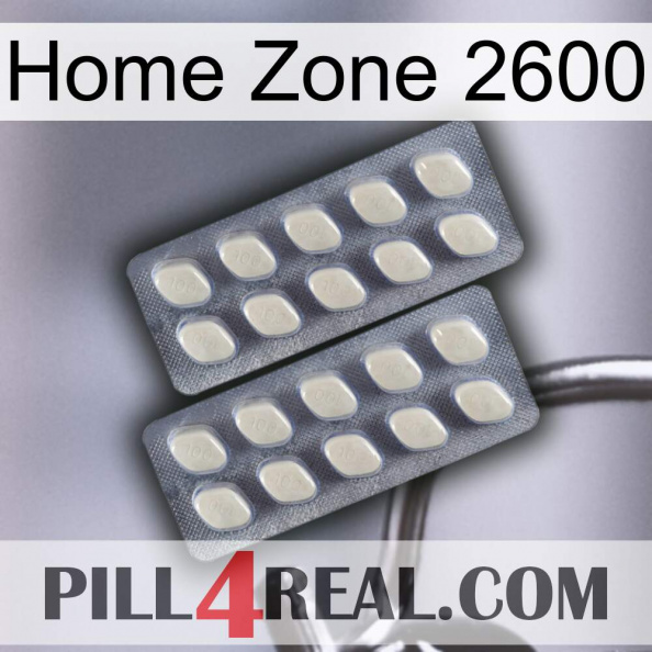 Home Zone 2600 07.jpg